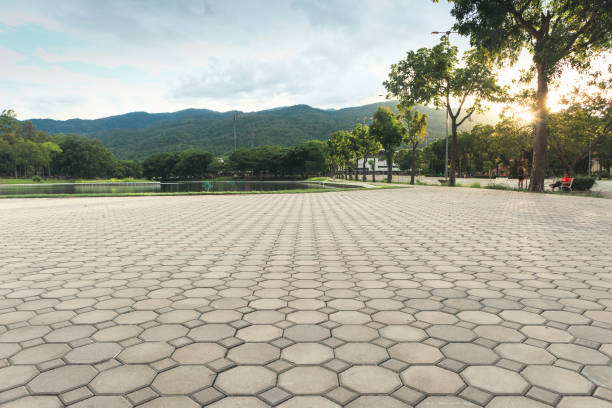 Best Driveway Paving Contractor  in Wolf Point, MT
